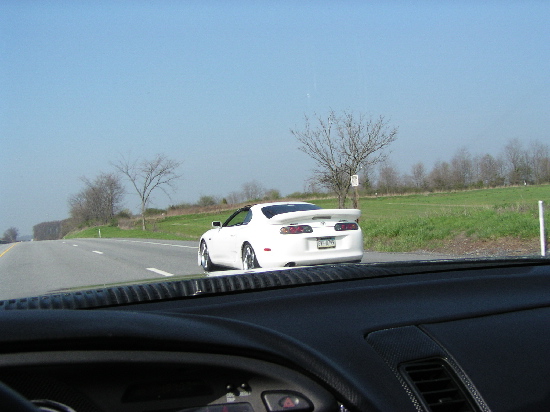 supras2.jpg